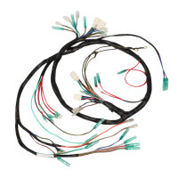 Cablaggio principale per Kawasaki H2 750 Mach # 26001-058