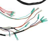 Cablaggio principale per Kawasaki H2 750 Mach # 26001-058