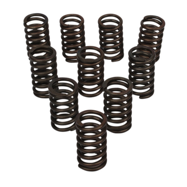 Clutch spring set for Kawasaki Z 900 1000 GPz 1100 # 92081-1033