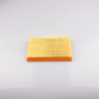 Filtro dellaria per BMW HP4 S 1000 2009-2020 13.717.717.842