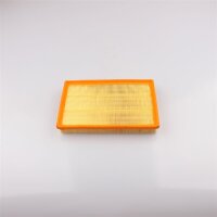 Filtro dellaria per BMW HP4 S 1000 2009-2020 13.717.717.842