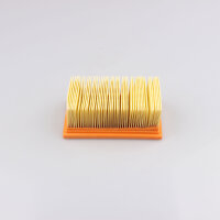 Filtro dellaria per BMW F 650 700 800 Husqvarna Nuda 900...