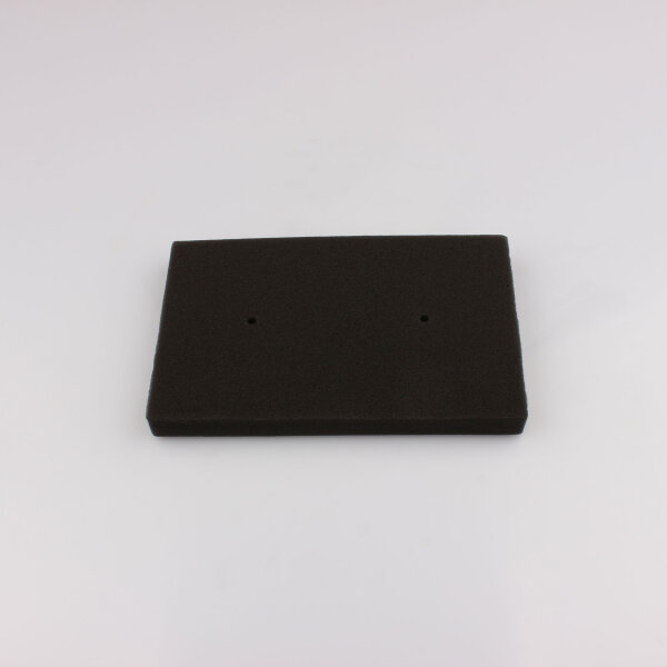 Luftfilter f&uuml;r Kawasaki Ninja 250 300 Z 300 2008-2017 11013-0020