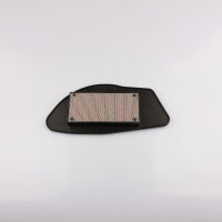 Luftfilter f&uuml;r Yamaha XC 125 X Cygnus X 04-16...