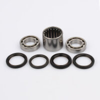 Set di cuscinetti forcellone per Honda VTR 1000 F Fire...