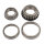 Cuscinetti testa di sterzo Cuscinetti a rulli conici per Yamaha XT 660 # 04-16