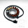 Alternatore Armatura Statore Generatore TMX per Kawasaki ZX-6R 600 95-97 # ZZR 600 90-06