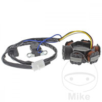 Alternador Armadura Estator Generador JMP para Peugeot 50...