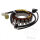 Alternator Armature Stator Generator TMX for Yamaha YFM 350 R Raptor Warrior