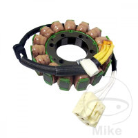 Alternador Armadura Estator Generador TMX para Kawasaki...