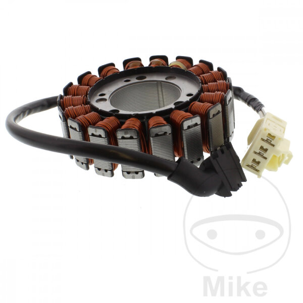Alternator Armature Stator Generator TMX for Yamaha FZS 1000 Fazer # 2001-2005