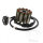 Alternator Armature Stator Generator TMX for Yamaha FZ8 800 FZ1 1000 YZF 1000 R1