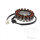 Alternator Armature Stator Generator TMX for Kawasaki ZX-6R 636 ZX-6RR 600 # 2005-2006