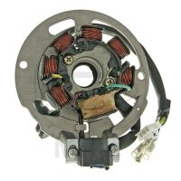 Alternateur Induit Stator Alternateur pour AGM CPI Gneric...