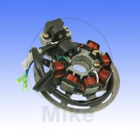 Alternateur Induit Stator Alternateur pour AGM CPI...