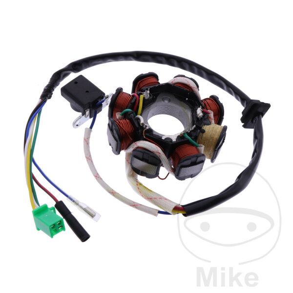 Alternatore Armatura Statore Generatore 8 Bobine per AGM Aiyumo Benzhou Flex Tech Jonway