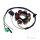Alternatore Armatura Statore Generatore 8 Bobine per AGM Aiyumo Benzhou Flex Tech Jonway