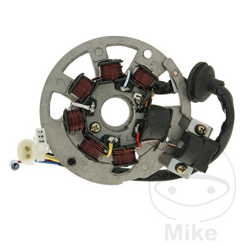 Alternator Armature Stator Generator for AGM Generic Keeway Longjia MZ/MUZ Peugeot