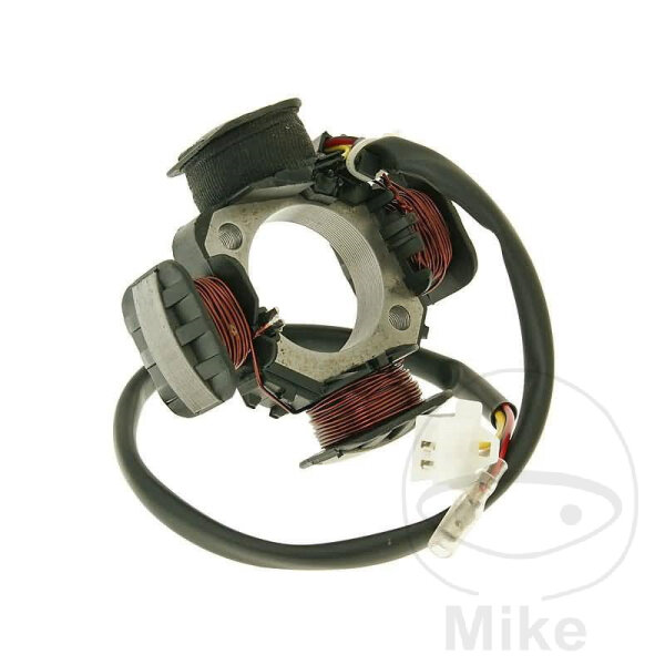 Alternator Armature Stator Generator for Benelli Derbi Italjet Simson Suzuki 50