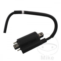 Bobina de encendido original para Suzuki VL 250 2005-2007...