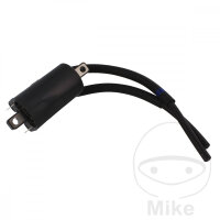 Bobina de encendido derecha original para Suzuki GSF 600...