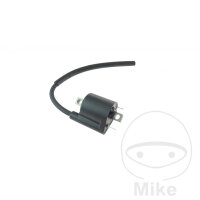 Bobina daccensione originale per Yamaha NS YN 50 YP YW 125