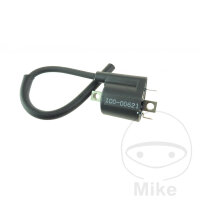 Bobina daccensione originale per Yamaha NS YN 50 YP YW 125