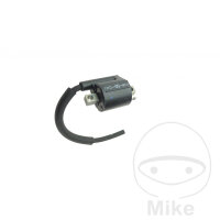 Z&uuml;ndspule Original f&uuml;r Yamaha MT-03 320...