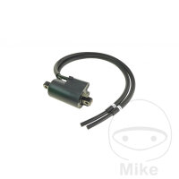 Bobine dallumage 12V originale pour Yamaha TDM TRX 850...