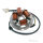 Alternator Armature Stator Generator for Simson 50 70 80 
