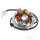 Alternatore Armatura Statore Generatore per Simson 50 70 80
