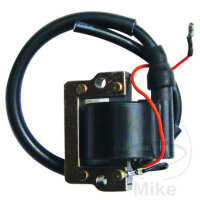 Z&uuml;ndspule 6V f&uuml;r Yamaha DT 50 80 175 250 400 FS...