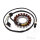 Alternator Armature Stator Generator TMX for Suzuki LS 650 Savage F # 1986-2000