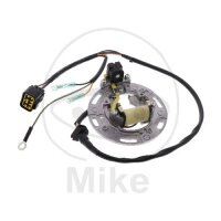 Alternador Armadura Estator Generador TMX para Kawasaki...