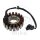 Alternatore Armatura Statore Generatore JMP per Honda CBR 600 # 2001-2007