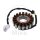 Alternator Armature Stator Generator JMP for Honda CBR 600 RR # 2003-2006