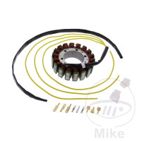 Alternateur Induit Stator Alternateur JMP pour Honda VT...
