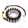 Alternatore Armatura Statore Generatore JMP per Honda VT 1100 Shadow # 1995-2000