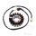 Alternatore Armatura Statore Generatore JMP per Honda CBR 1100 1997-1998 # VF 750 1993-2000