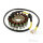 Alternator Armature Stator Generator JMP for Honda CBR 900 Fireblade RR # 1992-1995