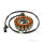 Alternator Armature Stator Generator JMP for Suzuki AN 250 400 Burgman # 2003-2006
