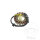 Alternatore Armatura Statore Generatore Originale per Bimota 1200 Ducati 749 848 999 1098 1198
