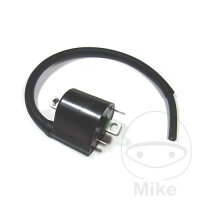 Bobine dallumage 12V Tourmax pour Suzuki DL 1000 V-Strom...