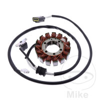 Lichtmaschine Anker Stator Generator JMP f&uuml;r YFM 550...