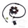 Alternatore Armatura Statore Generatore JMP per Kymco Maxxer 50 # 2007-2017
