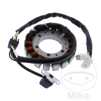 Alternador Armadura Estator Generador JMP para Arctic Cat...