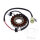 Alternator Armature Stator Generator JMP for Yamaha YFM 250 R # 2008-2014