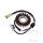 Lichtmaschine Anker Stator Generator JMP f&uuml;r Yamaha YFM 250 01-11 # YFM 660 01-05