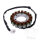 Alternator Armature Stator Generator JMP for Triumph TT 600 # 2000-2003