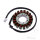 Alternatore Armatura Statore Generatore JMP per Kawasaki ER-6 650 05-11 # KLE 650 07-14